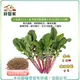 【綠藝家】大包裝A73-1.紅骨葉用蘿蔔種子80克(約6700顆)