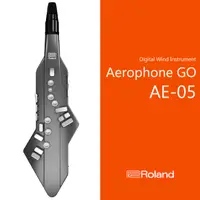 在飛比找樂天市場購物網優惠-【非凡樂器】Roland【AE-05】Aerophone G