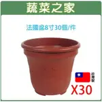 【蔬菜之家滿額免運】法國盆8寸30個/件 歐洲盆 花盆 花槽 栽培盆 種植盆 花盆 塑膠花盆 蔬菜盆