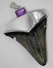 Large Fossil Shark Tooth Pendant – Megalodon, with Sterling Silver Cap Meg Teeth
