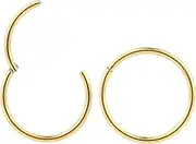 [365 Sleepers] 2PCS 20G Titanium 6mm - 10mm Hinged Hoop Segment Lip Nose Ring Septum Tragus Helix Unisex Sleeper Earrings
