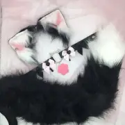 Black White Cosplay Kitten Cat headband Ears Tail Choker Collar Costume