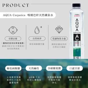 【AQUA Carpatica 喀爾巴阡】天然礦泉水PET瓶1000mlx2箱(共24入)