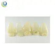 Tooth #8 Upper Right Central Anterior (URC) Polycarbonate Temporary Crown Refill