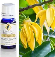 Gumleaf Essentials Organic Ylang Ylang Complete Essential Oil - 10ml, Cruelty Free & Vegan, Certified Organic, 100% Pure & Natural