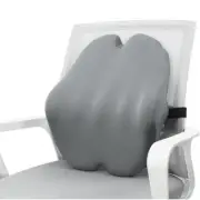 Lumbar Back Support Chair Pillow Memory Foam Ergonomic Design for Back Pain
