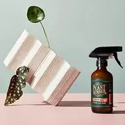 Neem Oil Natural Leaf Shine by Plant Runner Neem Oil Natural Leaf Shine Spray