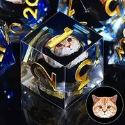 AUSTOR 7 Die DND Dice Set 7 Pieces Cat Resin Dice Role Playing D and D Dice D20 D12 D10 D8 D6 D4 Sharp Edge Dungeons and Dragons Dice with Case