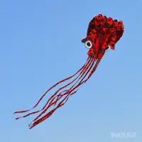 在飛比找蝦皮商城精選優惠-現貨風箏工廠直供批發4米5米花斑無骨軟體3d立體八爪花枝風箏