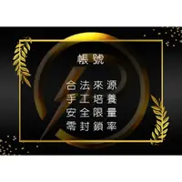 在飛比找蝦皮購物優惠-QQ炫舞（騰訊手遊）/ 帳號