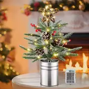 Tabletop Christmas Tree, Small Pre Lit Xmas Norfolk Pine Artificial Christmas Tr