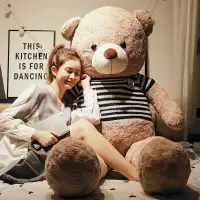 在飛比找樂天市場購物網優惠-泰迪熊貓公仔抱抱熊女孩毛絨玩具布娃娃可愛大號超大熊生日禮物