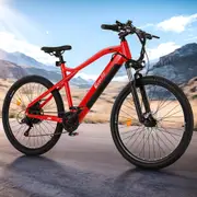 Danoz Direct - Everfit 26 Inch Electric Bike Mountain Bicycle eBike Built-in Battery 250W
