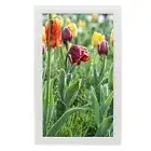 Digital Photo Frame 19in Screen White Music Clock Calendar Functions Picture Set