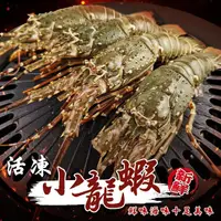 在飛比找PChome24h購物優惠-【海肉管家】活凍小龍蝦(5尾組_100-150g/尾)