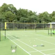 vidaXL Badminton Net Yellow and Black 600x155 cm PE Fabric
