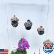 Jumping Spider Hide,Jumping Spider Hideaway Made from Real Acorns |,Handmade