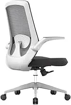 Mesh High Back Computer Chair Home Study Swivel Seat Adjustable Armrests and Ergonomic Design Office Chair Thickened Cushion Desk Chairs(Black)