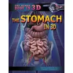 THE STOMACH IN 3D