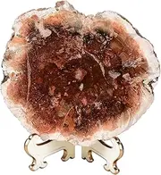 AMOYSTONE Large Petrified Wood Stone Plate Decorative Healing Crystal Slices Quartz Pieces with Stand Office Home Decor Reiki Healing Gifts 0.8-1.1 Pound