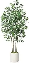 SOGUYI Ficus Artificial Tree 6ft Fake Silk Plant for Home Decor Indoor, Faux Floor Tree in White Imitation Ceramic Planter with Green Fake Moss for Home Office Corner Indoor Decor, Set of 1