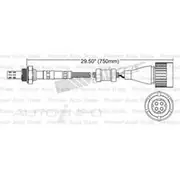 PAT Oxygen Sensor - EGO-256