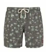Men's Costume Chad Boardshort Protest