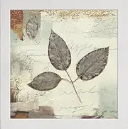 Frame Company Watson Range Silver Leaves II by James Weins, Photo Frame - 10 x 10 Inches, White