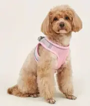 Mesh Padded Soft Puppy Pet Dog Harness Breathable Comfortable pink size med