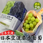 【WANG 蔬果】日本麝香無籽葡萄1房X2盒(450-500G/串_禮盒/空運直送)