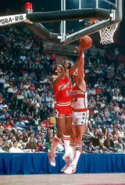 Reggie Theus of the Chicago Bulls1981 Basketball Photo 4