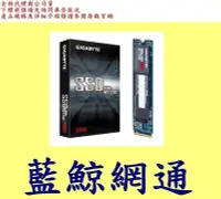 在飛比找Yahoo!奇摩拍賣優惠-技嘉 GIGABYTE NVMe SSD 256GB 256