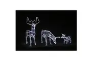 3D Illuminated LED Reindeer Family with Motor | White