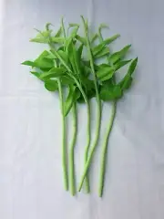 5 Stems Fake Morning Glory Artificial Vegetable for Display, Kitchen Decor