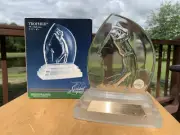 Vintage Trophee Golfeur Golfer Cristal d'Arques France