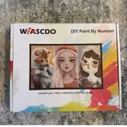 NWT Wiascdo DIY Paint By Number Kit For Canvas Princess