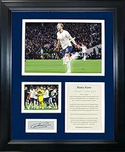 HOFSM.COM Hall of Fame Sports Memorabilia Framed Harry Kane Goal Record Facsimile Laser Engraved Signature Auto Tottenham Hotspur F.C. Soccer Futbol 12"x15" Photo Collage