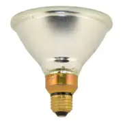 Replacement for 120PAR/CAP/FL/30 (for SYLVANIA) and others - EACH