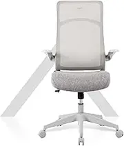 TT Airflex Ergochair Home Office Mesh Chair Executive Ergonomics Chair (Ashy Grey)