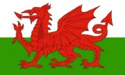 WALES DELUXE NYLON FLAG 5X3 super hard wearing WELSH DRAGON CARDIFF SWANSEA