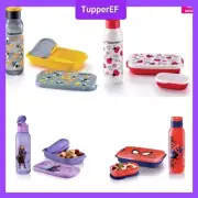 Tupperware Whimsical Garden Set / Spiderman Set