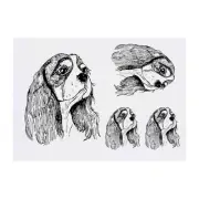 4 x 'Cavalier King Charles Head' Temporary Tattoos / Transfers (TO00052313)