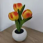 LED Tulip Night Light Tulip LED Flower Light Simulation Flower Table Lamp