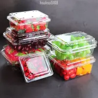 在飛比找蝦皮商城精選優惠-【一次性水果盒】 一次性水果盒 包裝盒 加厚 藍莓草莓果蔬塑
