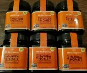 6 Jars Wedderspoon 100% Raw Premium Manuka Honey KFactor 16+ 8.8 oz