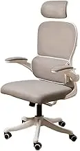 Classic Desk Chair with Ergonomic Lumbar Support, Headrest and Armrest, Office Chair for Home Office Desk Task Chair(Gray)