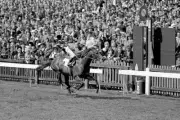 1970s Champion Race Horse Brigadier Gerard 3 Horse Racing Old Photo