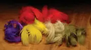 Hareline Dubbin Mallard Flank
