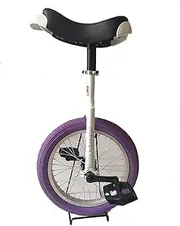 Unicycle Bicycle for Unisex Kids, 16 Inch Adjustable Seat One Wheel Bike for Outdoor Fitness, Leakproof Butyl Tire Wheel, Load: 150Kg (Color : Purple) Durable TDF