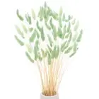 60-Pack Bunny Tails Grass 17 Inch for Home Decor/Wedding [Light Blue]